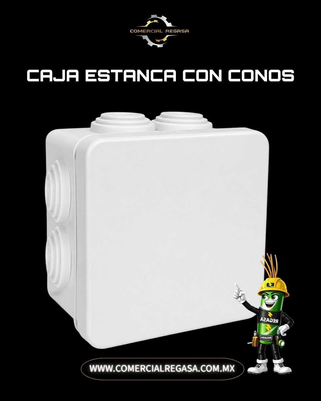 Caja Estanca IP55 | Protección para circuitos eléctricos contra agua y polvo