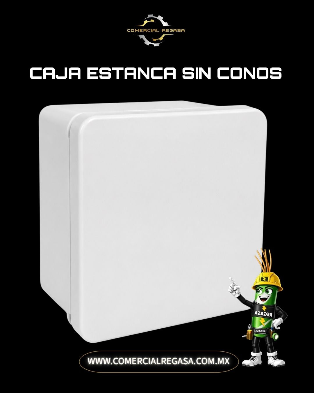 Caja Estanca IP55 | Protección para circuitos eléctricos contra agua y polvo